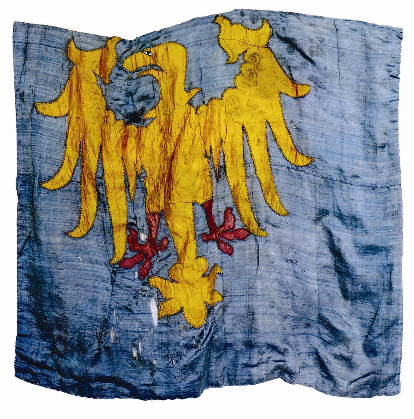 La bandiera del Friuli (bandiere dal Friûl in friulano) è la bandiera della regione storica del Friuli, ufficialmente riconosciuta dalla legge che tutela le minoranze linguistiche, è esposta nei comuni e nelle provincie friulanofone. Al centro di essa campeggia un'aquila gialla rivolta verso destra con le ali aperte, su uno sfondo blu.